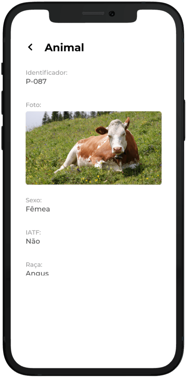Tela mostrar animal do aplicativo Inbov
